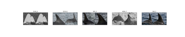 fullbody-backfin