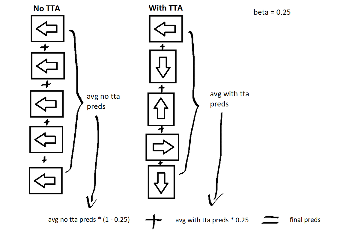 FastAI TTA Visualization