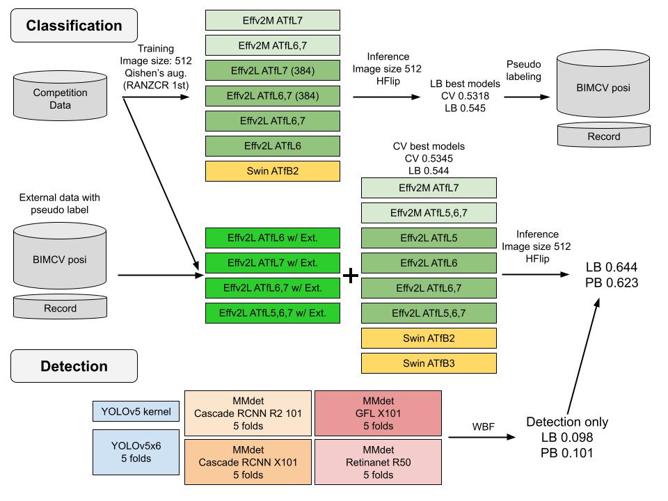 classification_detection_model (1)
