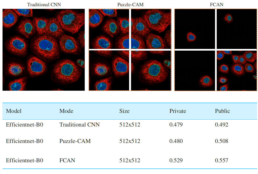 FCAN compare results