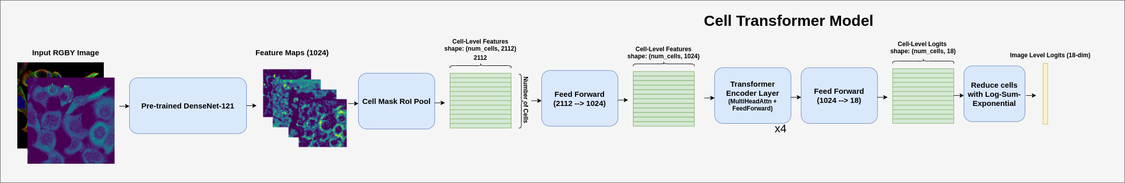Cell Transformer Overview