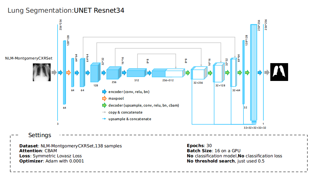 lung segmentation unet