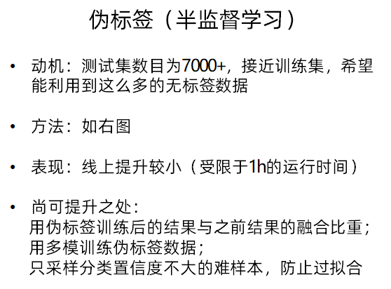伪标签1