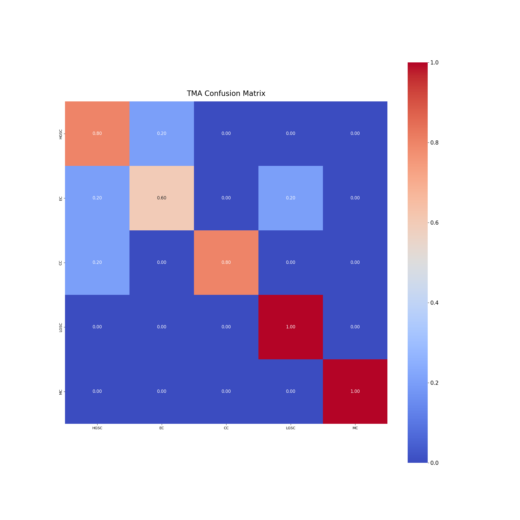 tma_confusion_matrix1
